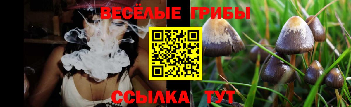 Галлюциногенные грибы MAGIC MUSHROOMS  Вход с VPN  Артёмовский 